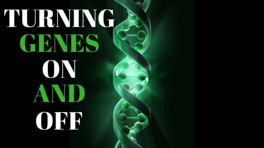 turning genes on and off