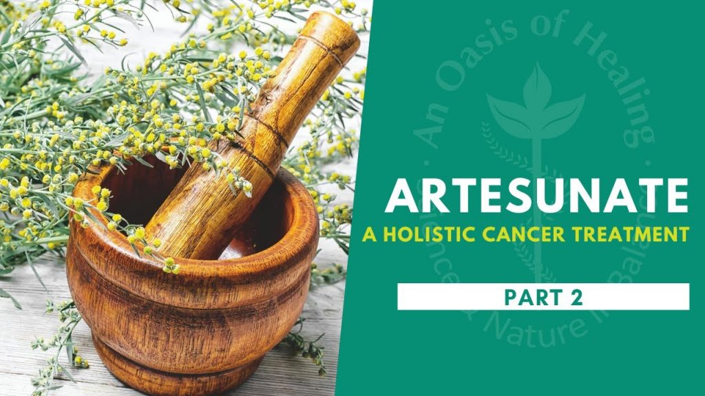 This is a continuation of the three part series on the wholistic cancer treatments artesunate are other artemisinins.