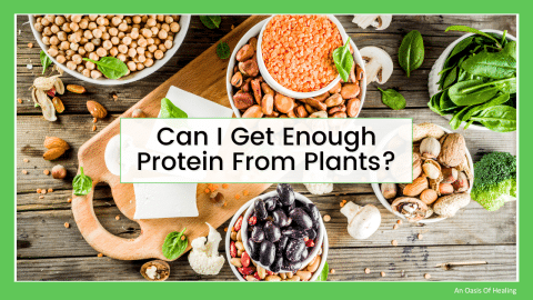 Can I Get Enough Protein from Plants?
