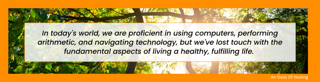 What is the School of Life at An Oasis of Healing?