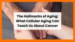The Hallmarks of Aging: What Cellular Aging Can Teach Us About Cancer
